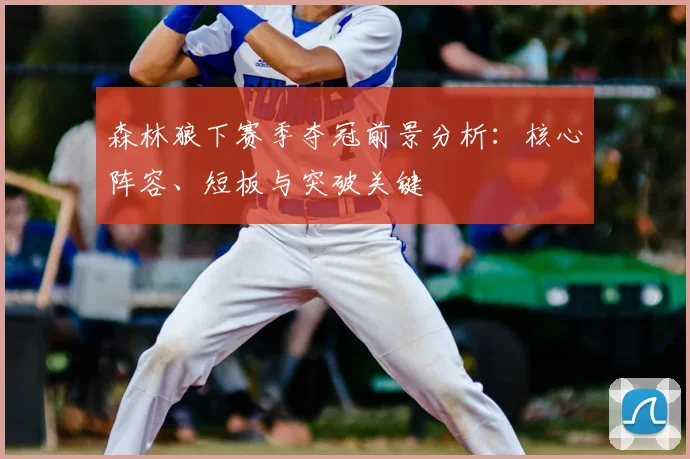森林狼下赛季夺冠前景分析：核心阵容、短板与突破关键